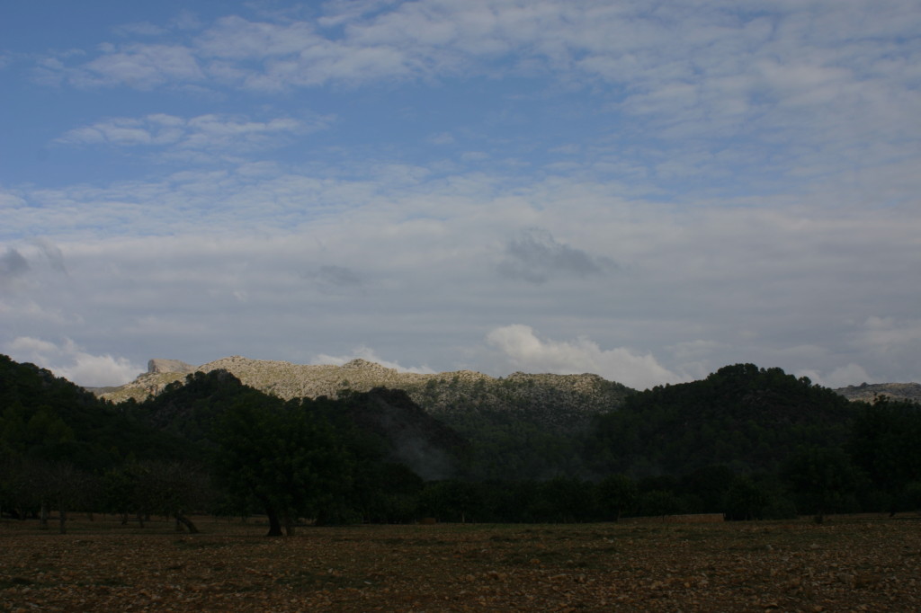 sesfontsufanes 105